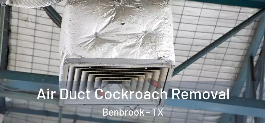 Air Duct Cockroach Removal Benbrook - TX
