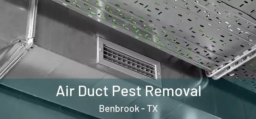  Air Duct Pest Removal Benbrook - TX