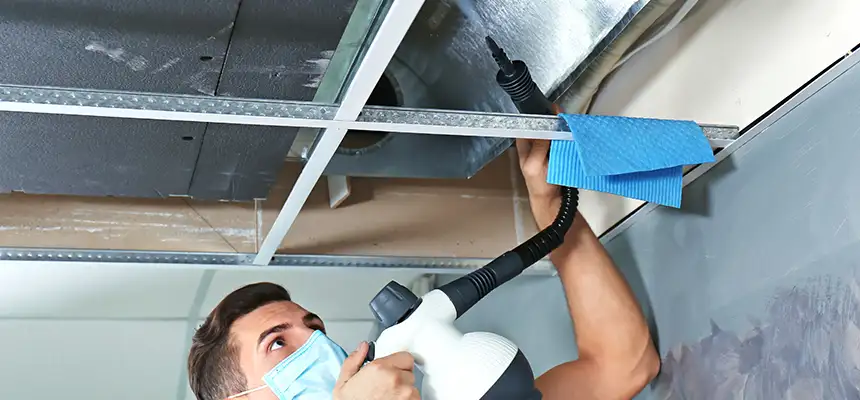 Our Air Duct Rodent Removal Services in Benbrook, TX