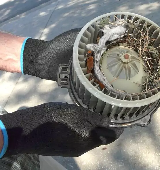 About Air Duct Rat Removal in Benbrook, TX