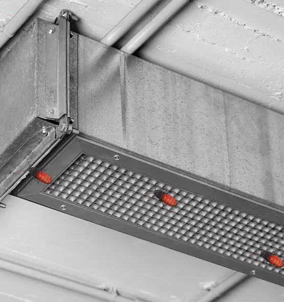 Affordable Insect Removal from Air Ducts in Benbrook, TX