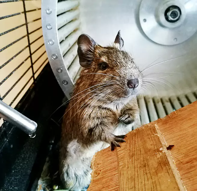 Why Homeowners & Businesses Trust Us Benbrook, TX?